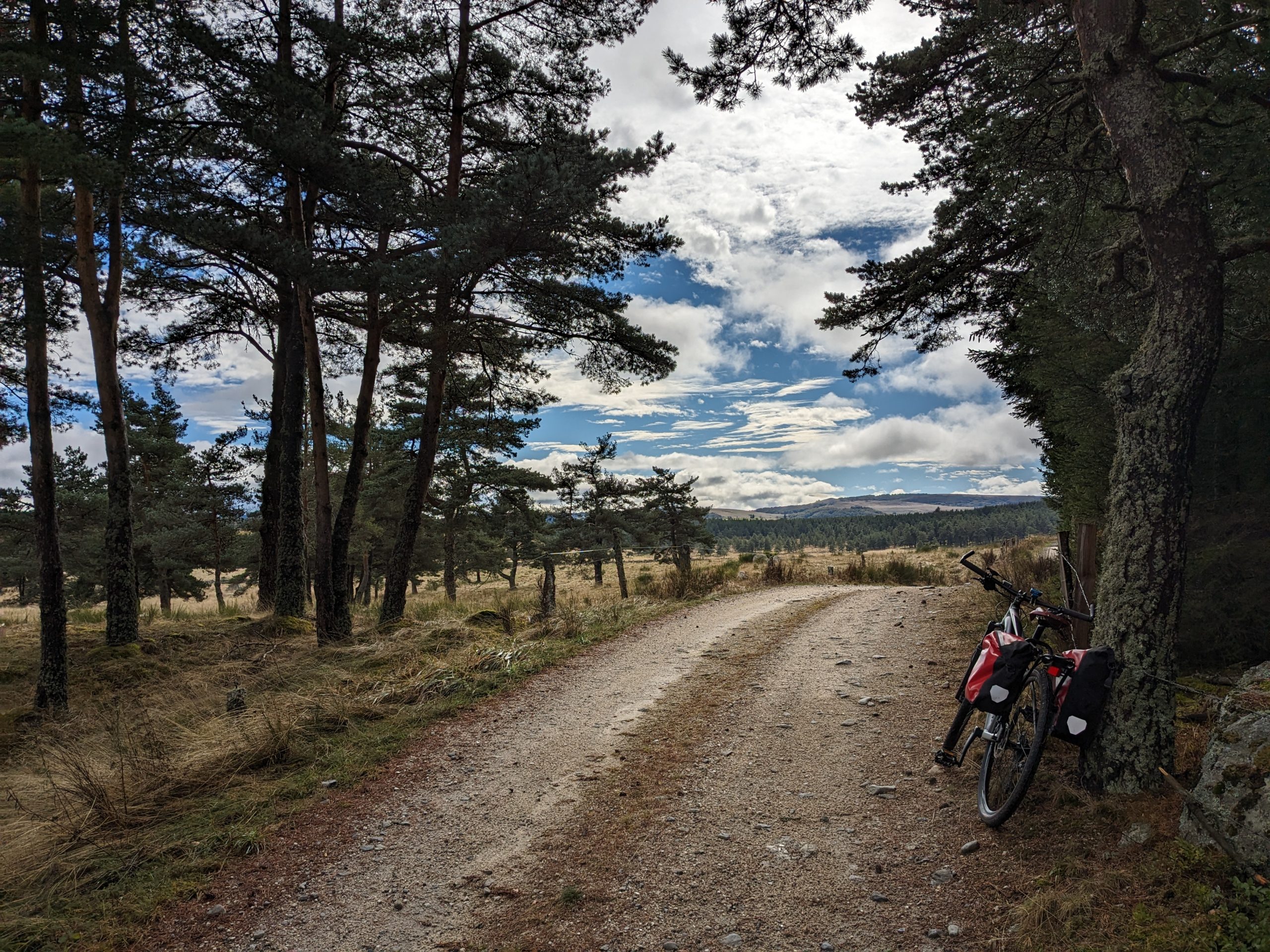 PXL_20231024_112620734