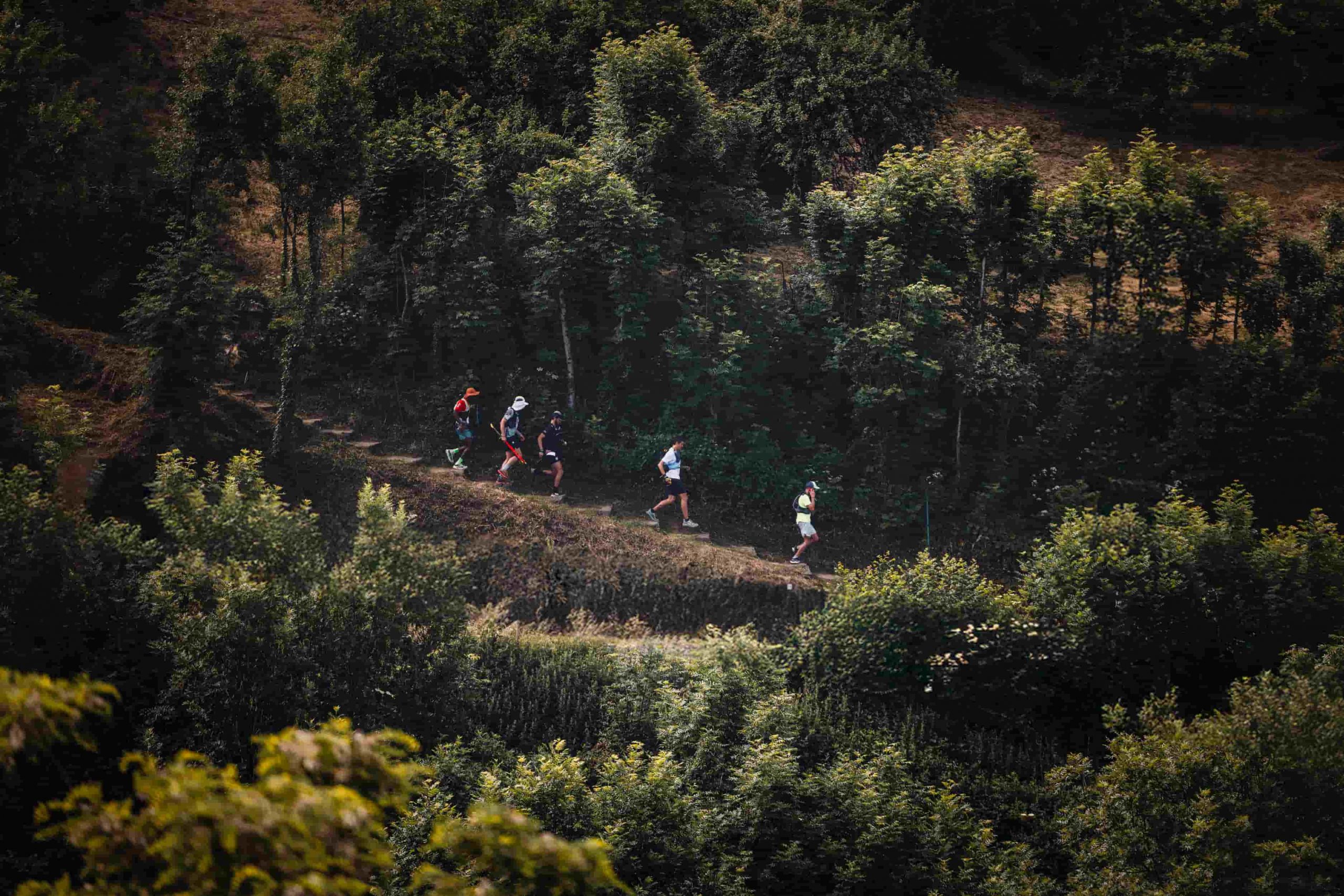 Des coureurs sur le parcours 100k du Trail du Saint-Jacques by UTMB